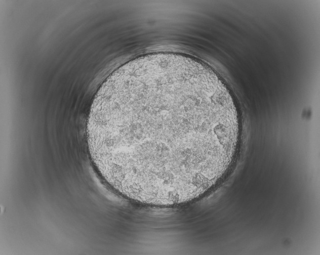 X0000112160849200909181446