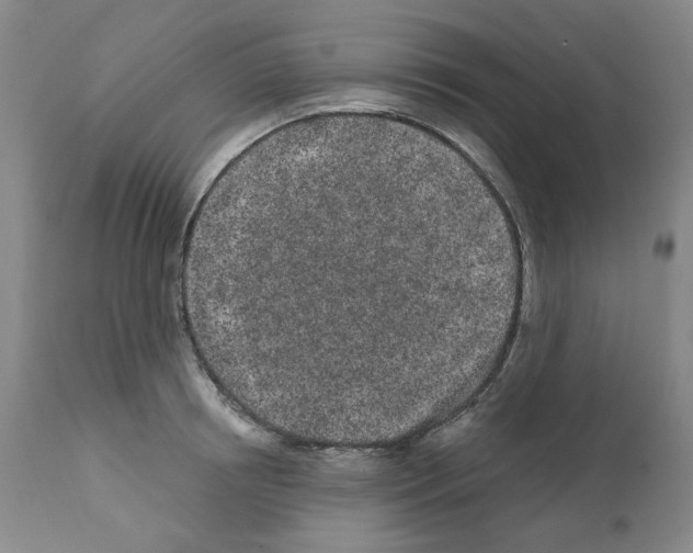 X0000112160850200909181446