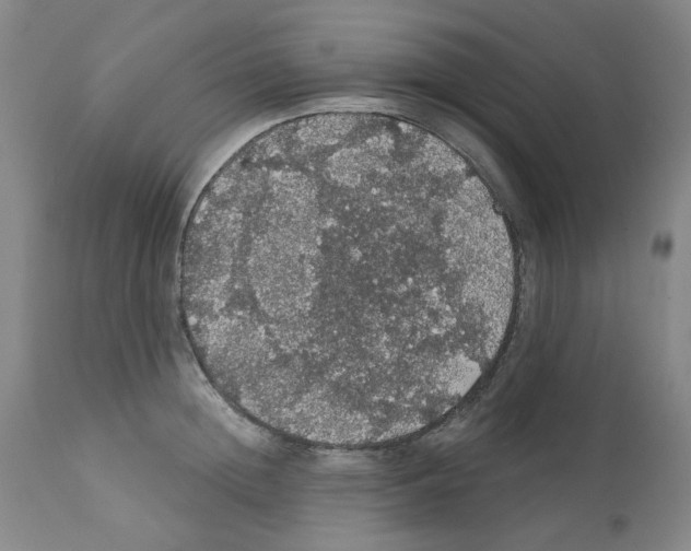X0000112160852200909181446