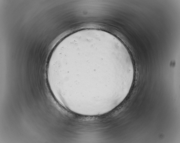 X0000112160853200909181446