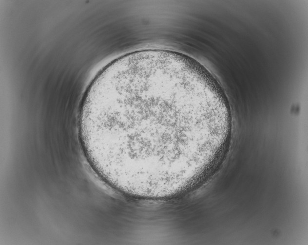 X0000112160854200909181446