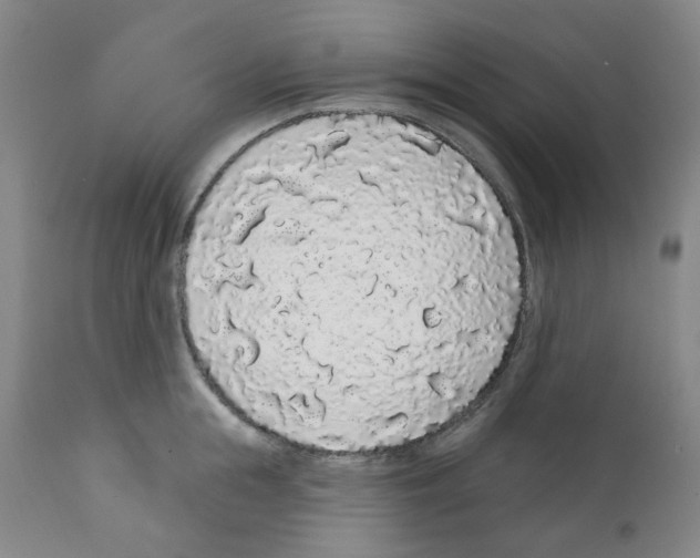 X0000112160855200909181446