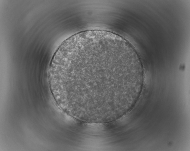 X0000112160856200909181446