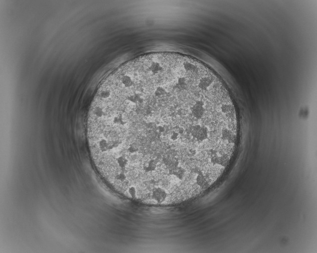 X0000112160857200909181446