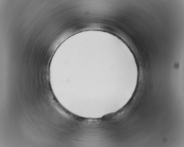 X0000112160858200909181446
