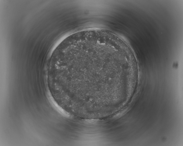 X0000112160859200909181446
