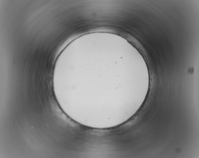 X0000112160860200909181446