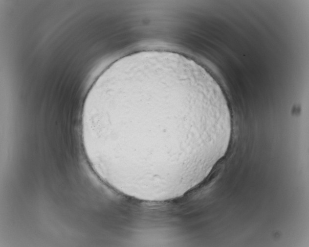 X0000112160863200909181446