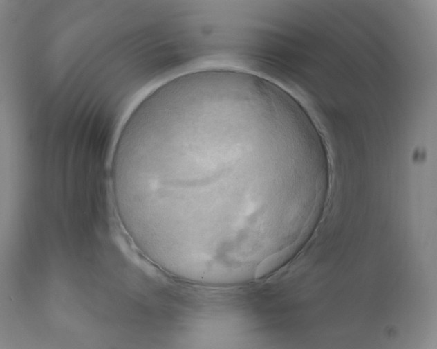 X0000112160864200909181446
