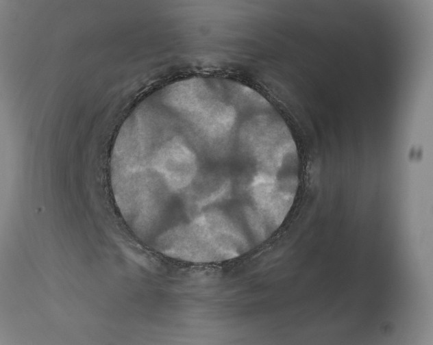 X0000112160865200909181445