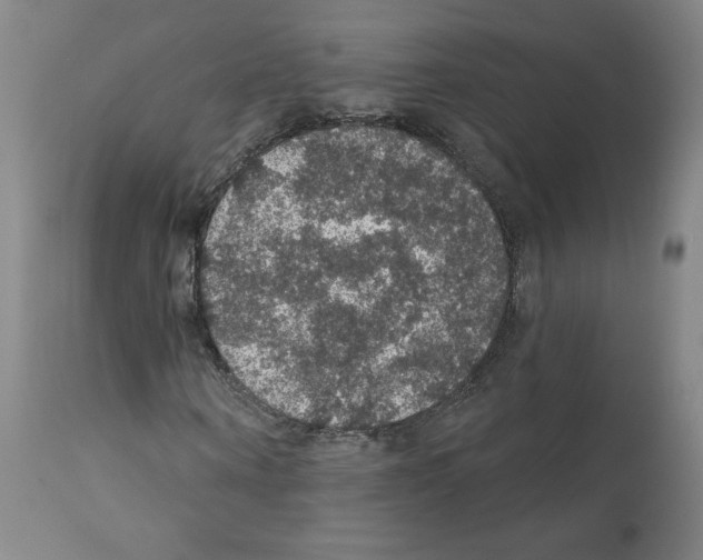 X0000112160866200909181445