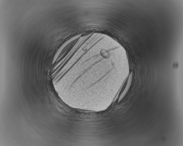 X0000112160868200909181445