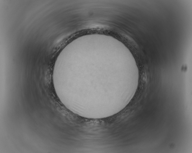 X0000112160869200909181445