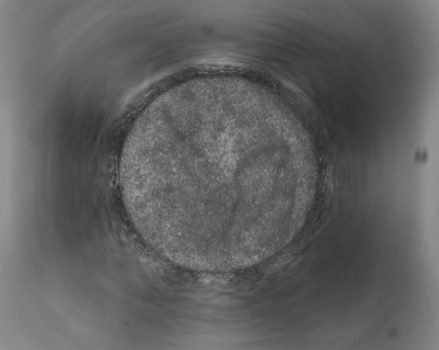 X0000112160870200909181445