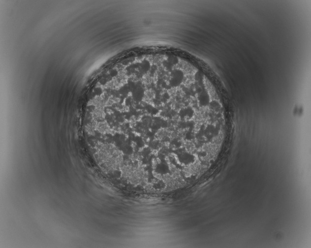 X0000112160871200909181445