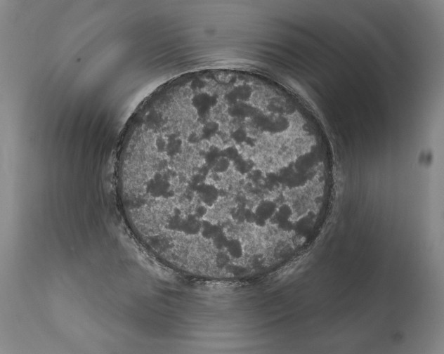 X0000112160875200909181445