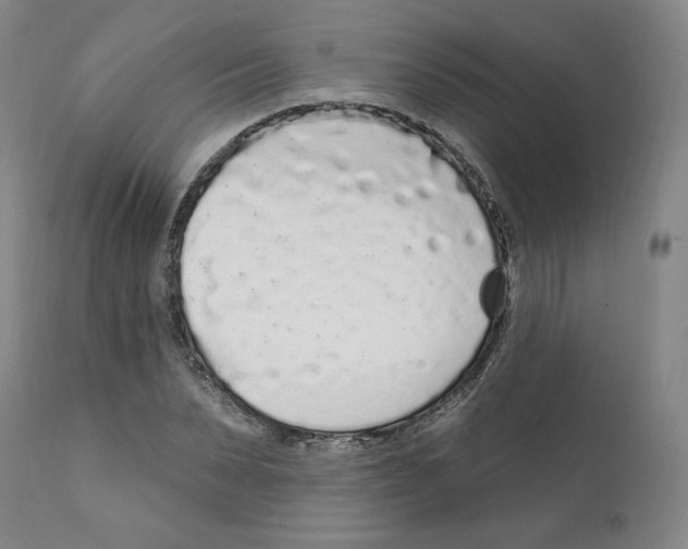 X0000112160879200909181445