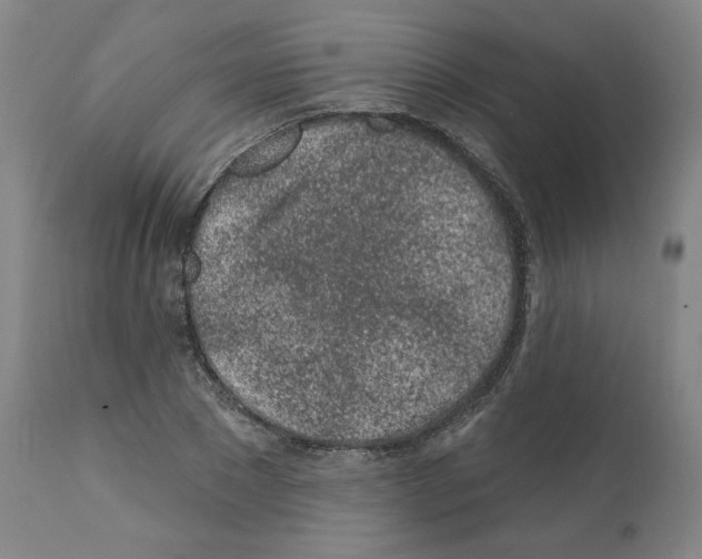 X0000112160881200909181445