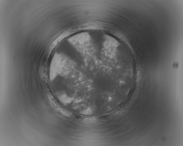 X0000112160882200909181445