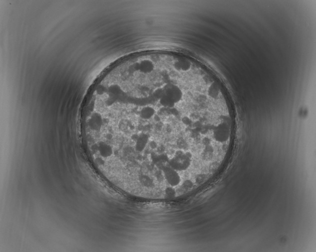 X0000112160883200909181445