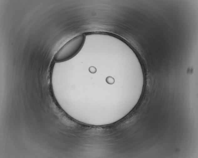 X0000112160885200909181445