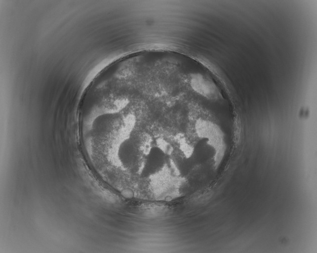 X0000112160886200909181445