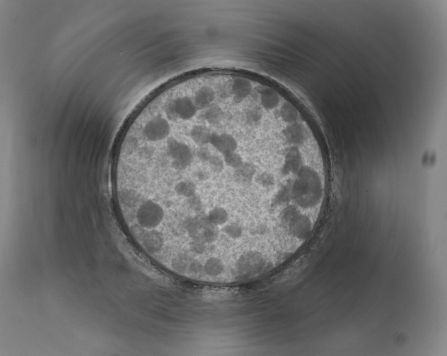 X0000112160887200909181445