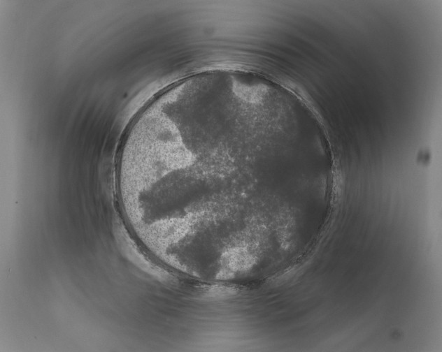 X0000112160890200909181445