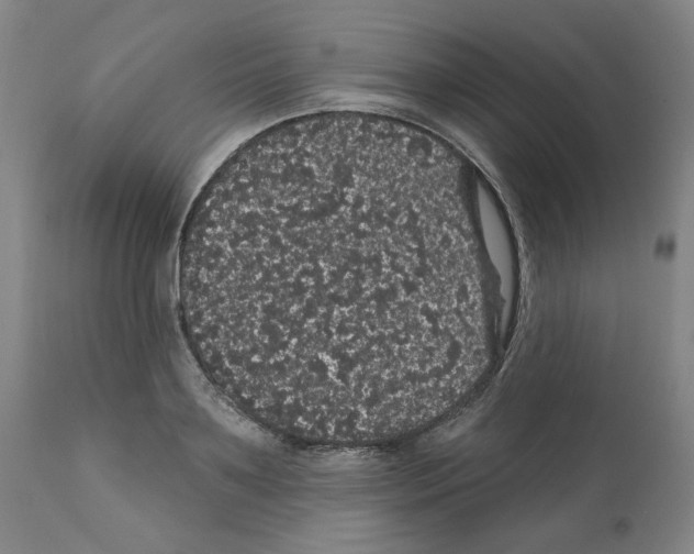 X0000112160891200909181445