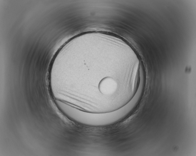X0000112160893200909181445
