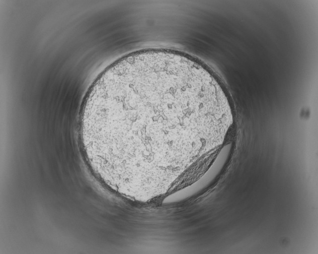 X0000112160895200909181445