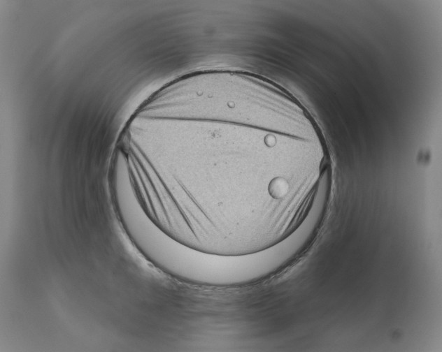 X0000112160901200909181445