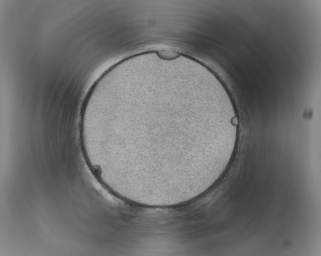 X0000112160902200909181445