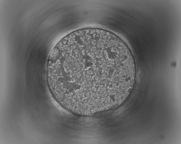 X0000112160903200909181445