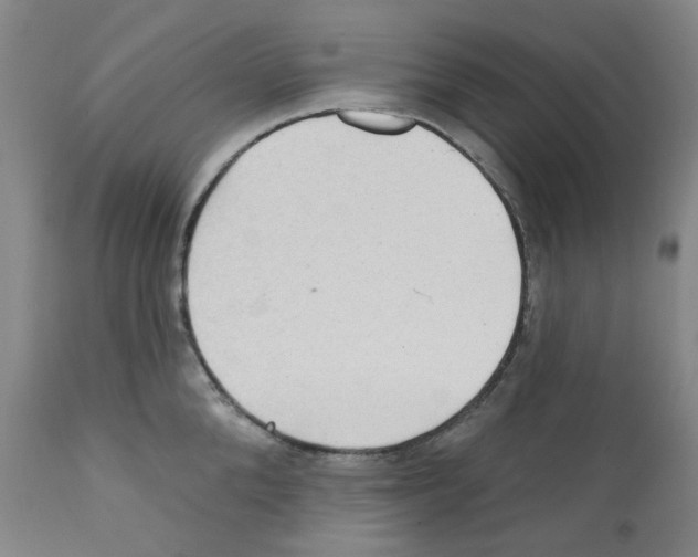 X0000112160904200909181445