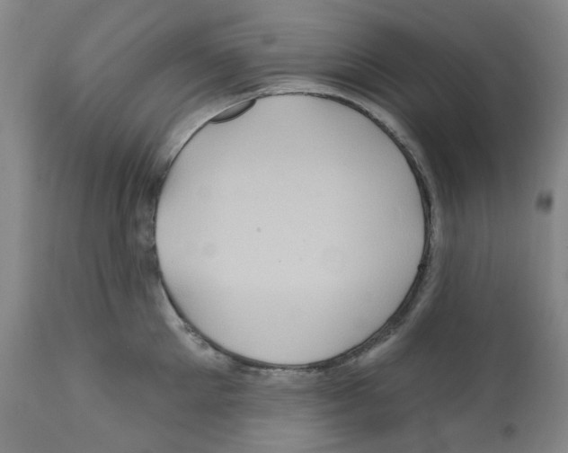 X0000112160905200909181445