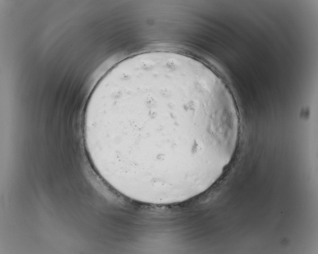 X0000112160907200909181445