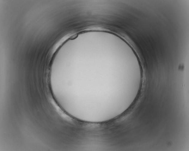 X0000112160909200909181445