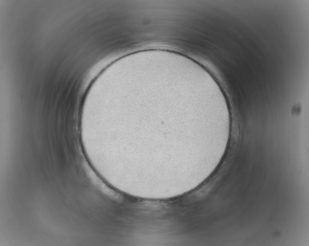 X0000112160910200909181445
