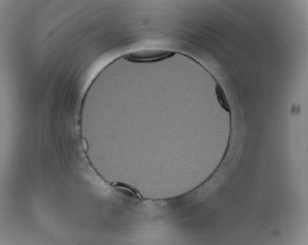 X0000112160912200909181445