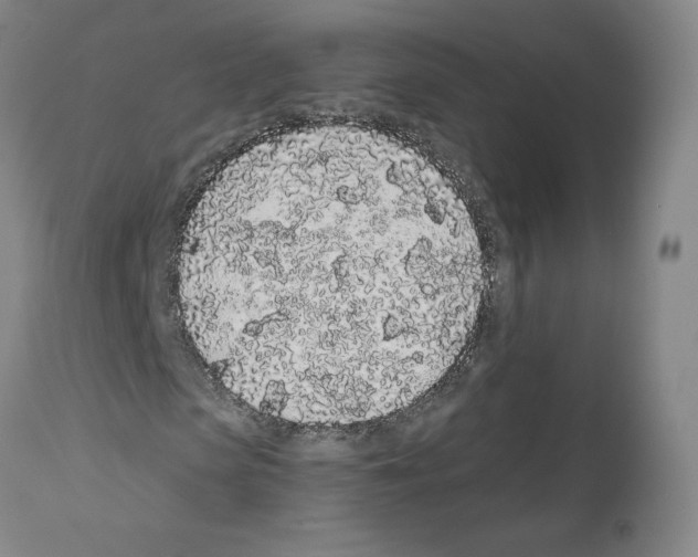 X0000112160913200909181444
