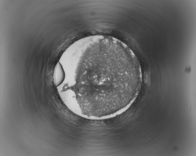 X0000112160915200909181444
