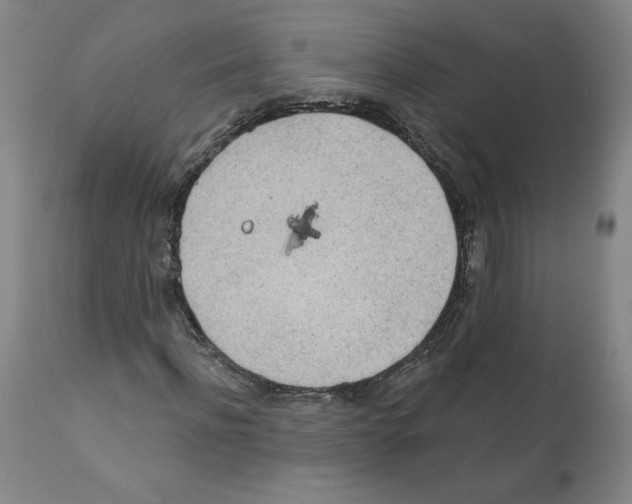 X0000112160916200909181444