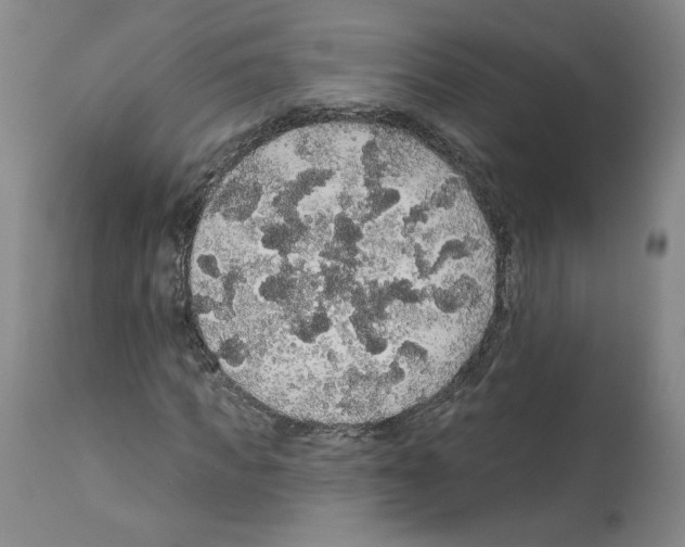 X0000112160917200909181444