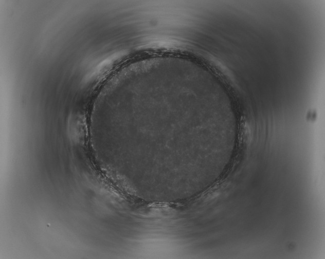 X0000112160918200909181444