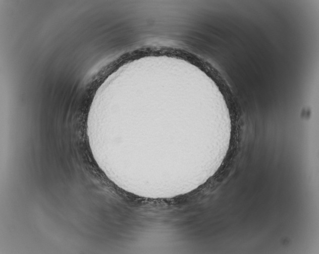 X0000112160919200909181444