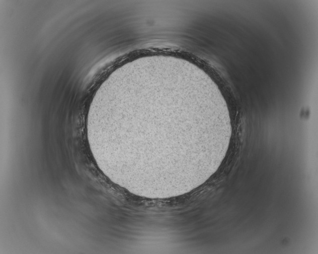 X0000112160920200909181444