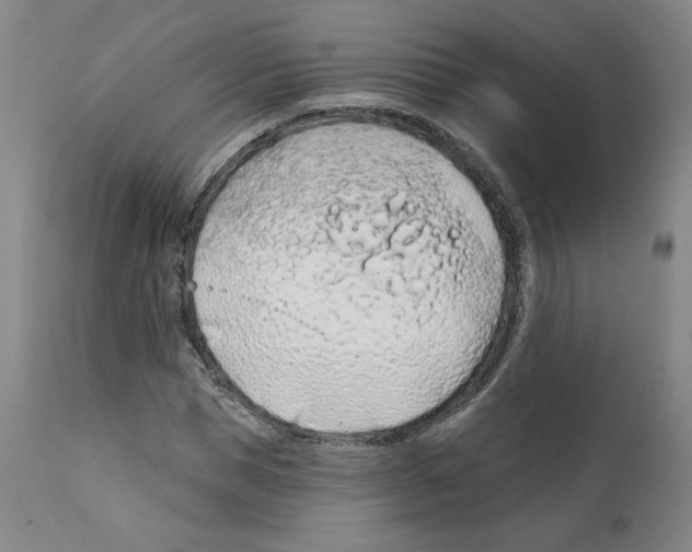 X0000112160921200909181444