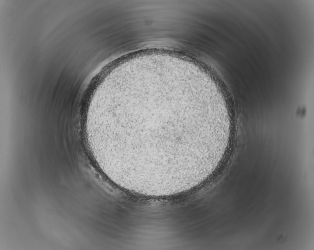 X0000112160923200909181444