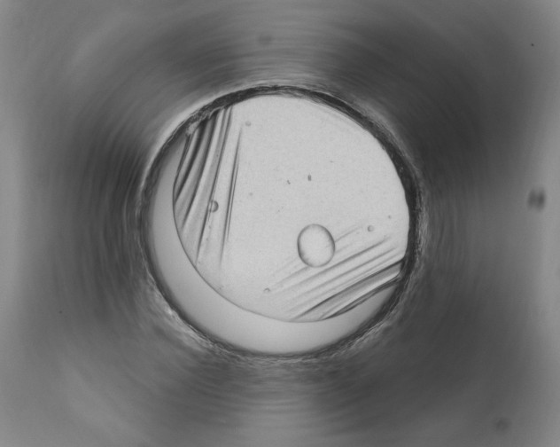 X0000112160924200909181444